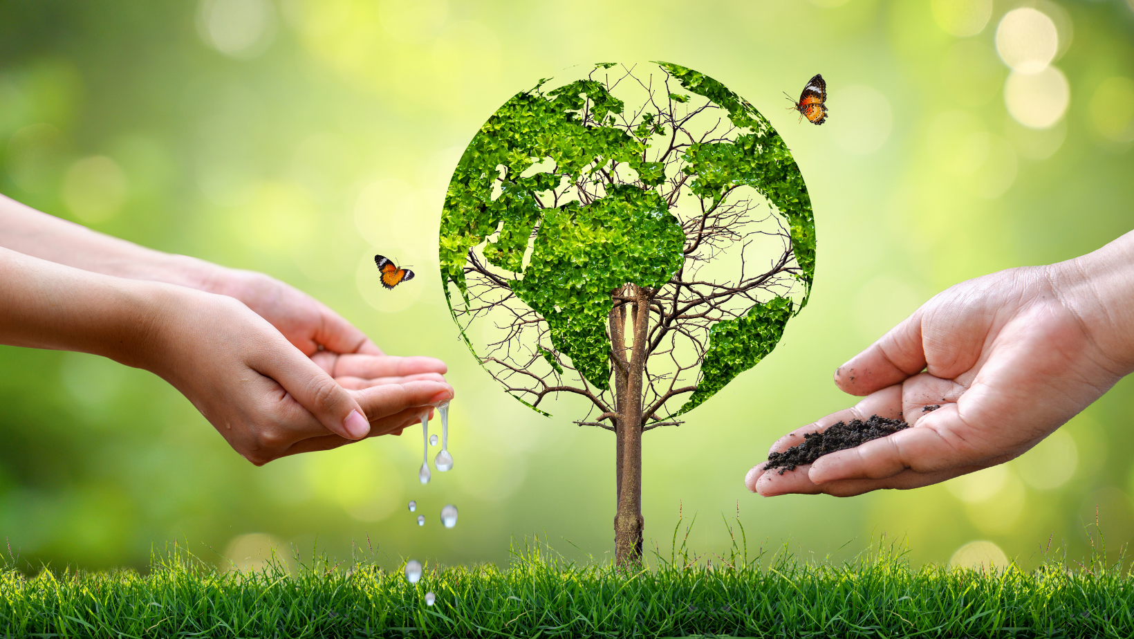 Read more about the article Eco-Entrepreneurship: Aligning Profit and Planet